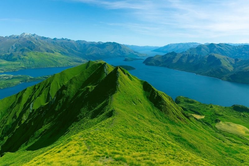 Landscape Design Service