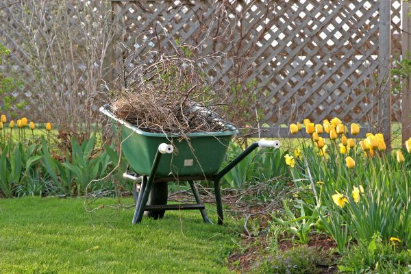 Flower Bed Cleanup Service in Houma