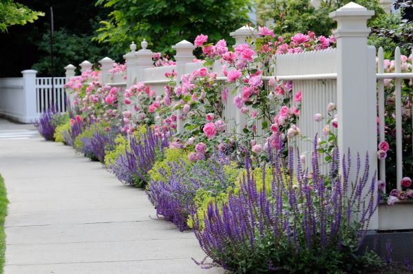 Garden Handyman Service in Houma