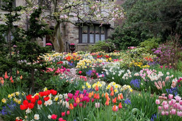 Garden Maintenance Service in Houma