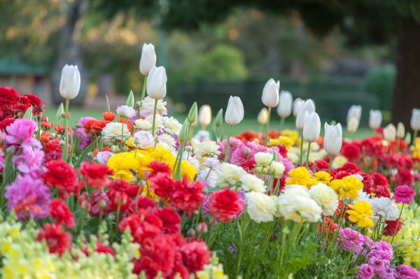 Gardening Service in Houma