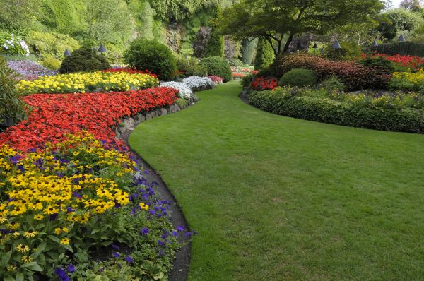 Landscaping Maintenance in Houma
