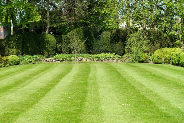 Lawn Renovation in Houma
