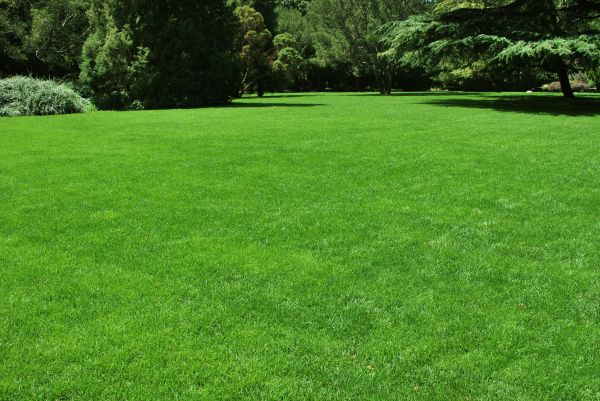 Lawn Landscaping in Houma