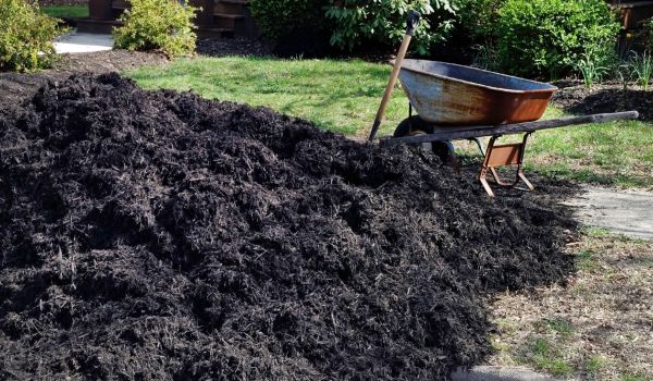 Black Mulch Delivery in Houma