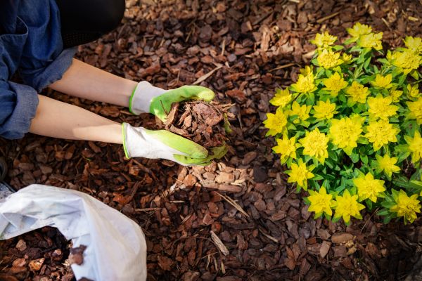 Garden Mulching in Houma