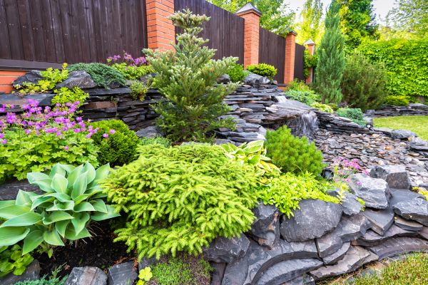 Landscape Remodeling in Houma