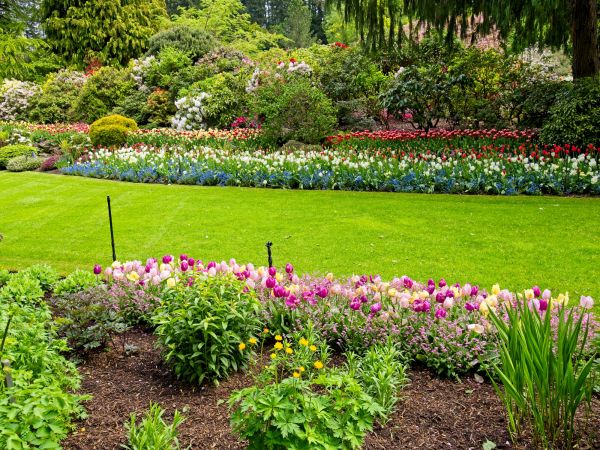 Residential Landscape Design in Houma