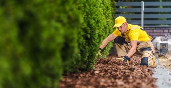 Cypress Mulch Installation in Houma