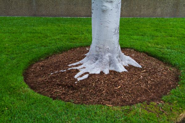 Brown Mulch Installation in Houma