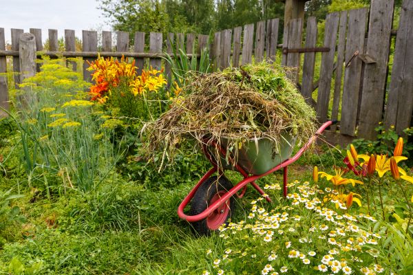 Garden Cleanup Service in Houma