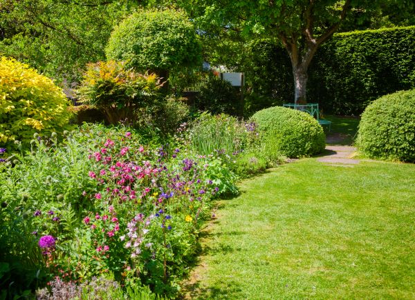 Yard Landscaping Service in Houma