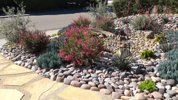 Xeriscape Landscaping in Houma