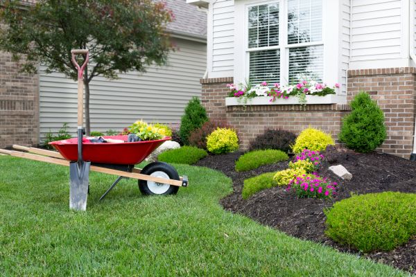 Tree And Shrub Planting in Houma