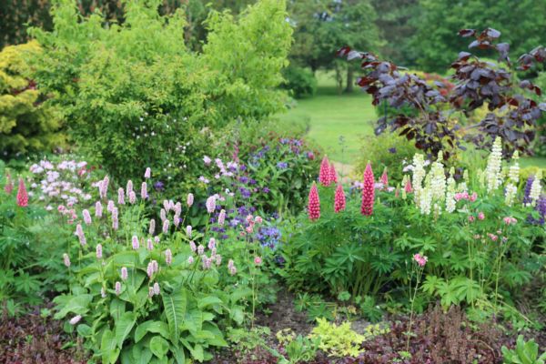 Flower Bed Planting in Houma