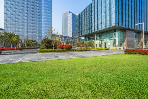 Industrial Landscaping Service in Houma