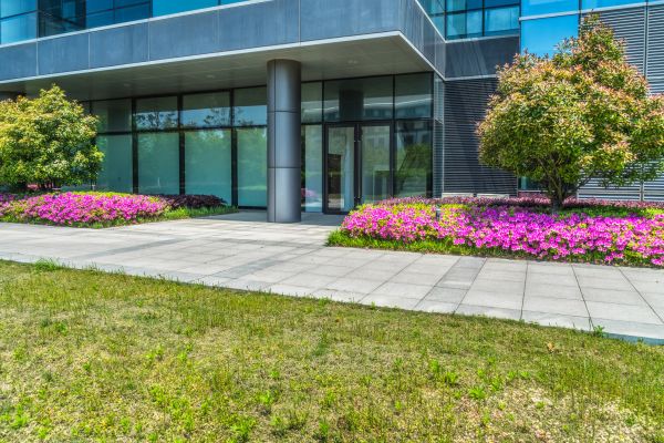Commercial Gardening in Houma