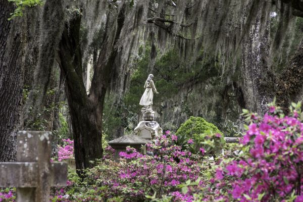 Cemetery Landscaping in Houma