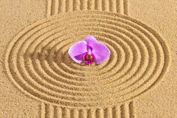 Sand Garden Landscaping in Houma