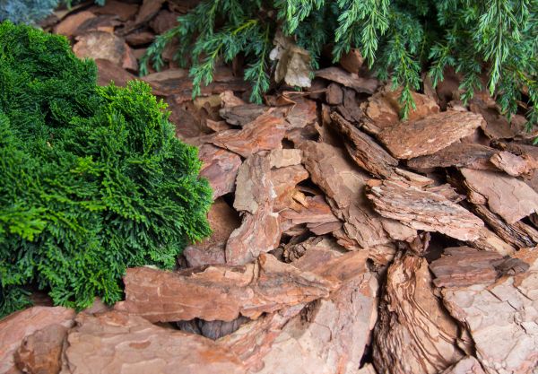 Pine Bark Installation in Houma