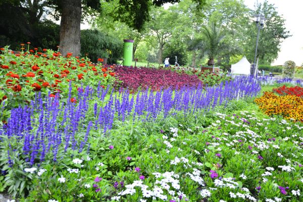 Perennials Planting in Houma