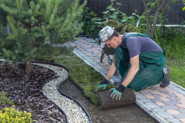 Landscaping Modification in Houma