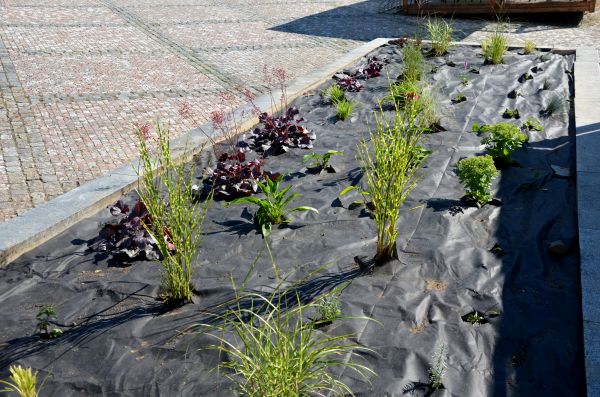 Landscape Fabric Installation in Houma