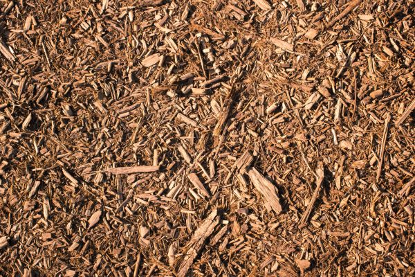Wood Chips Removal in Houma