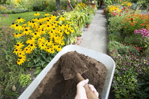Topsoil Replacement in Houma