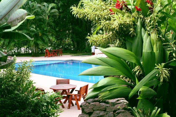 Pool Area Landscaping in Houma