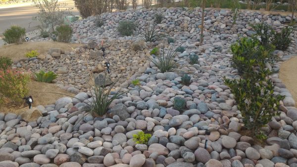 Yard Xeriscaping in Houma