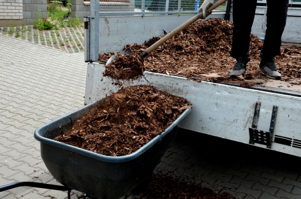 Playground Mulch Delivery in Houma