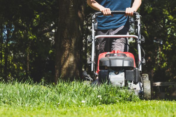 Garden Trimming Service in Houma