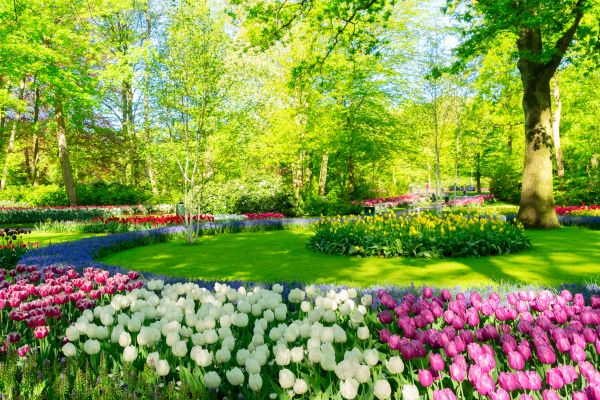 Flower Landscaping in Houma