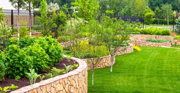 Yard Makeover Service in Houma