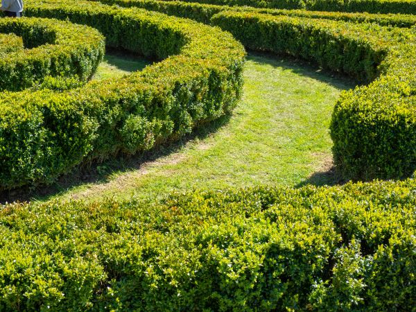 Bush Landscaping in Houma