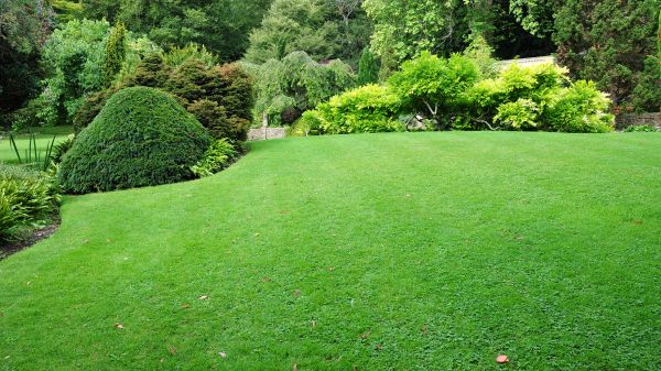Commercial Landscape Design in Houma