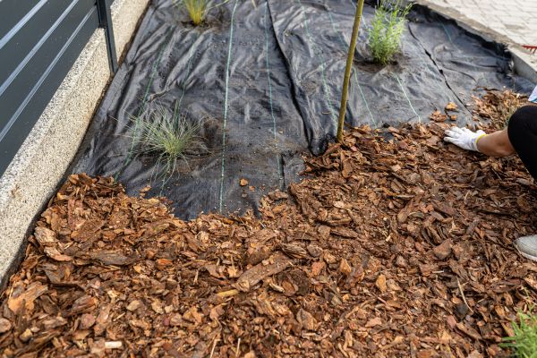 Pine Bark Spreading in Houma