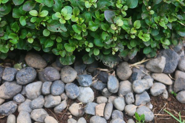 River Stone Installation in Houma
