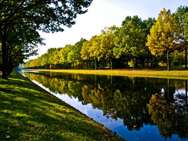 Bank Landscaping in Houma