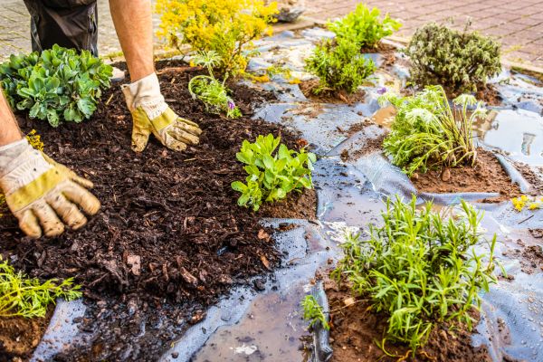 Mulch Fabric Installation in Houma