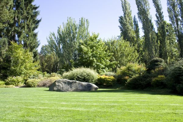 Yard Enlargement in Houma