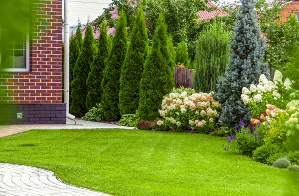 Spring Landscaping in Houma
