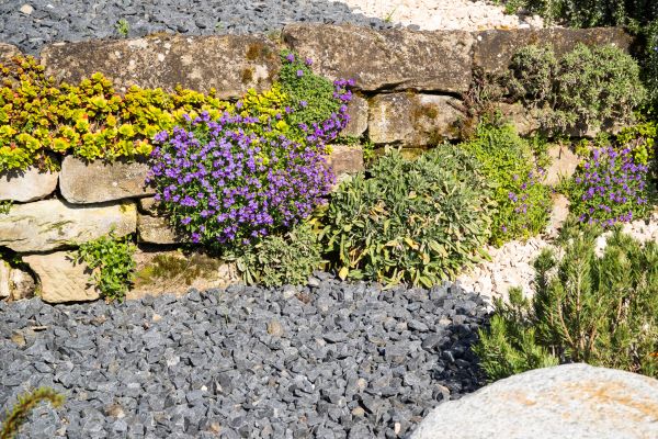 Landscaping Rocks Installation in Houma