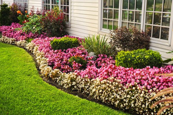 Garden Landscape Design in Houma