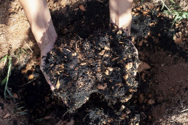 Organic Mulch Installation in Houma