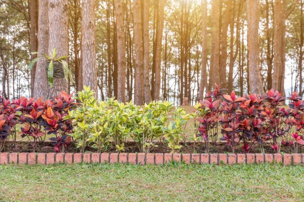 Small Garden Landscaping in Houma