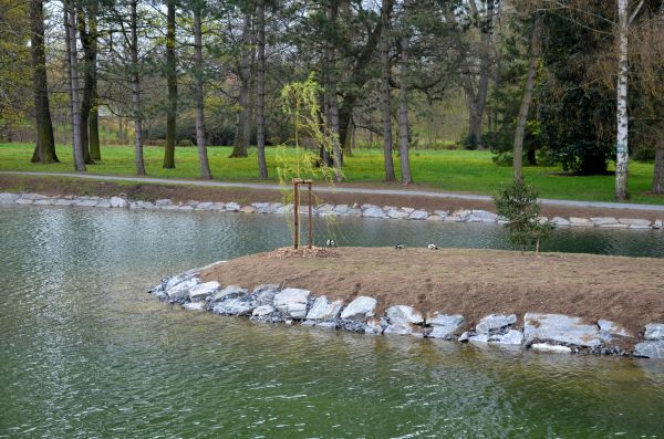 Pond Landscaping Service in Houma