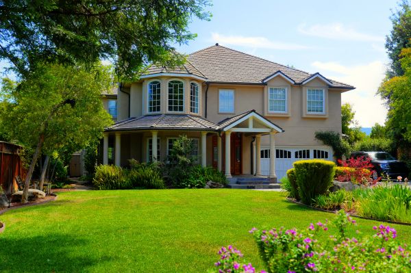 Large Yard Landscaping in Houma