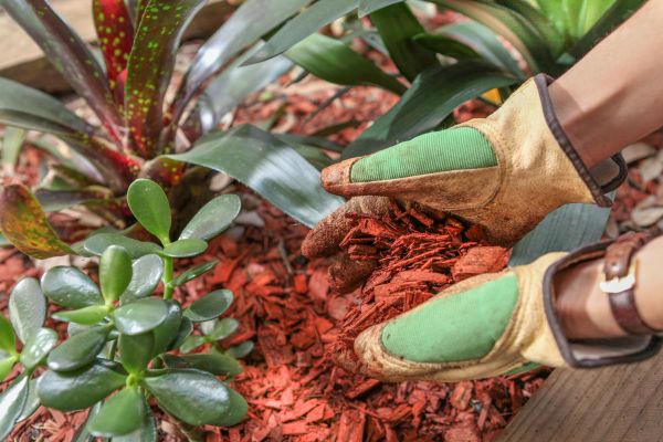 Residential Mulching in Houma